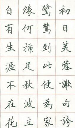硬笔笔锋 练字