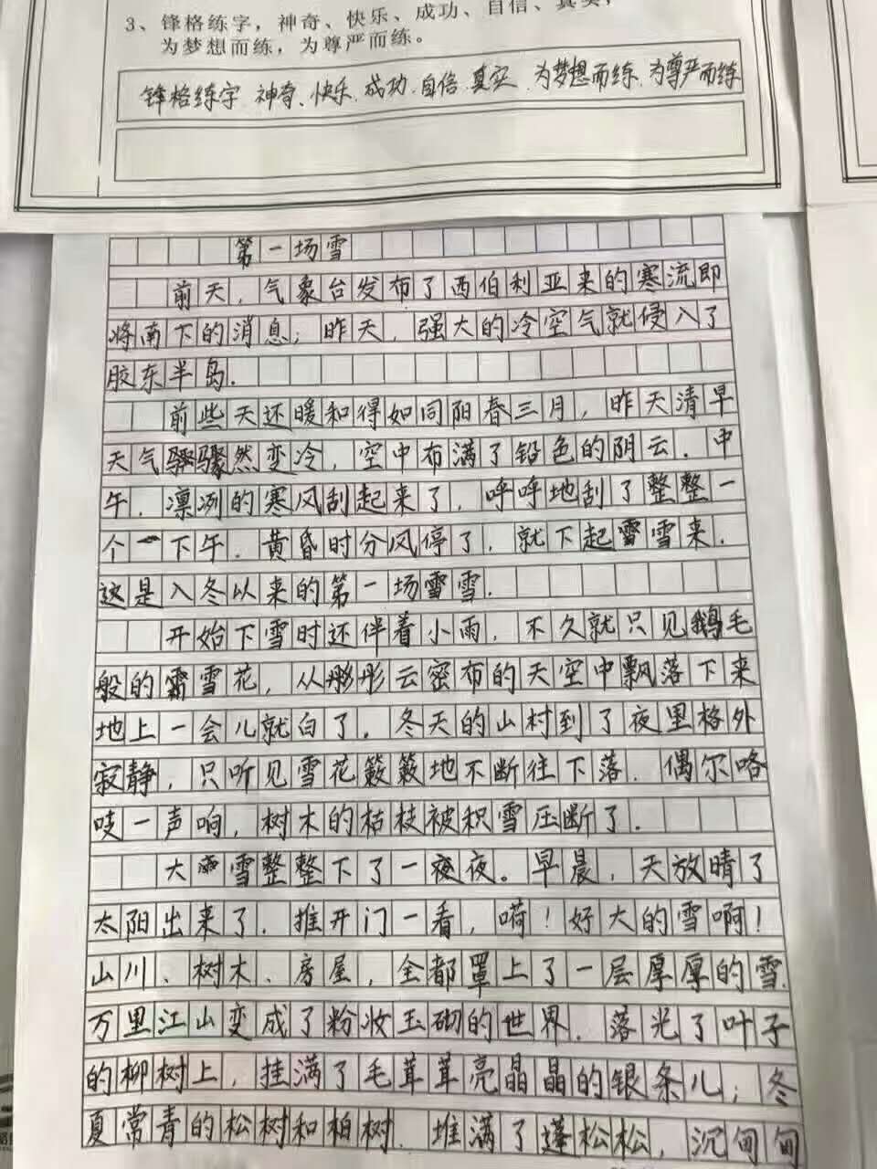 学习前后对比