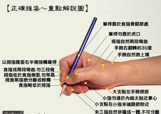 锋格练字