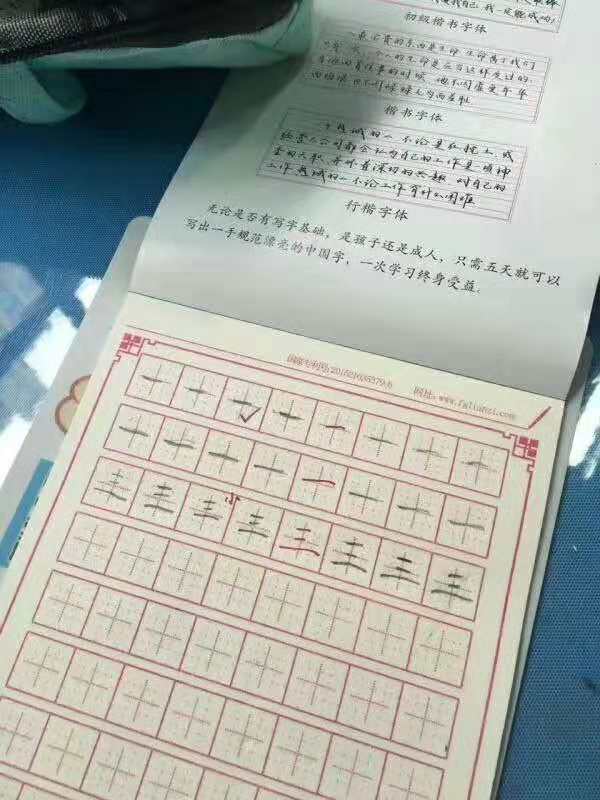 锋格练字走进书林一小6