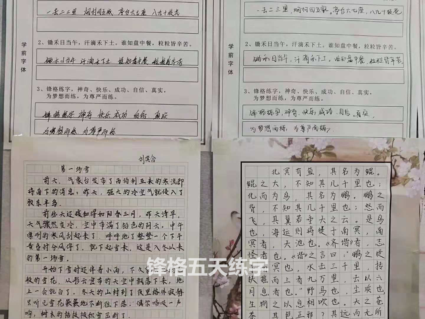 锋格硬笔练字教育学员学前学后效果