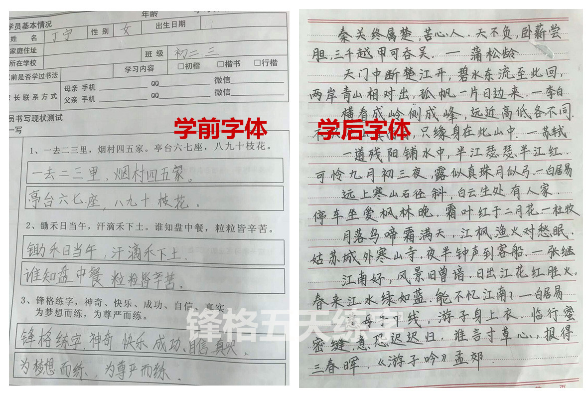 锋格练字学员学前学后效果对比