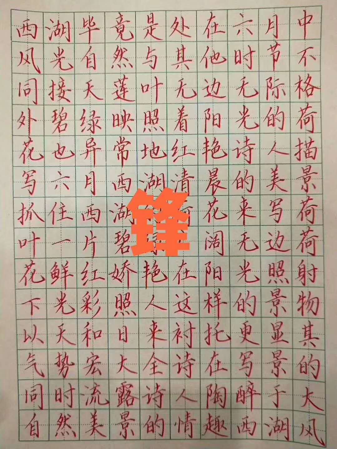 锋格练字