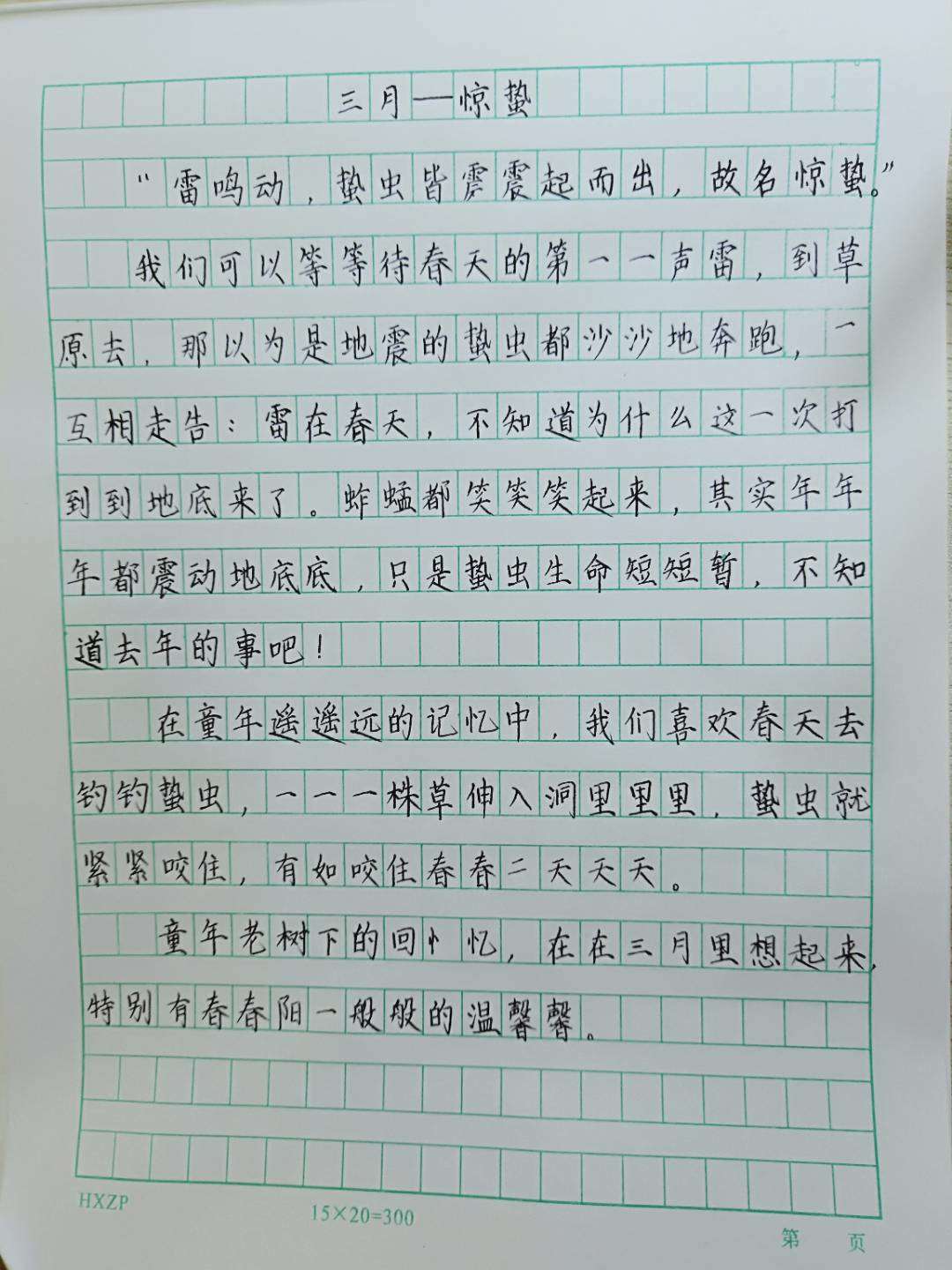 锋格作品展示