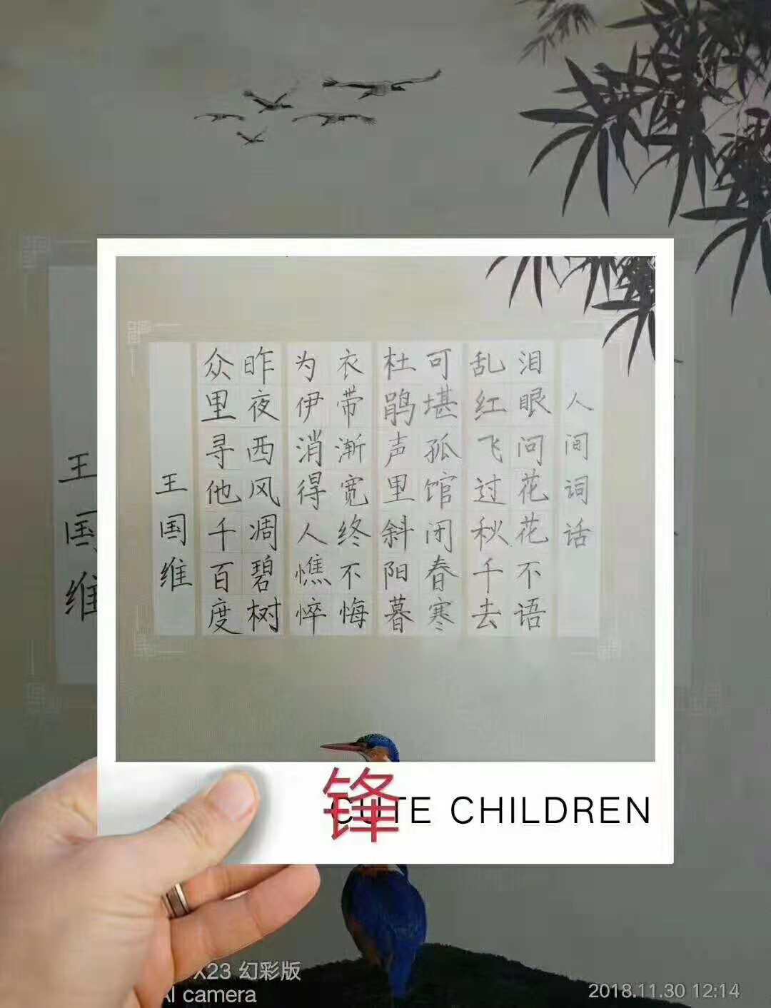 锋格书法