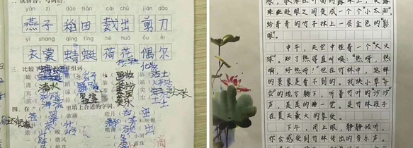 锋格练字小学员学前学后效果对比
