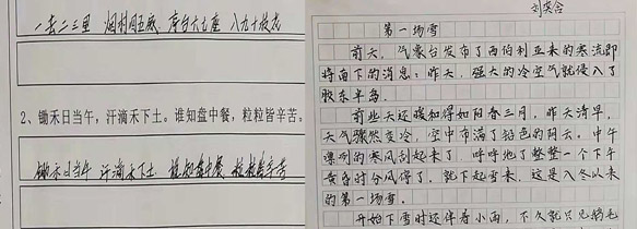 锋格硬笔练字学员刘奕含学前学后效果对比