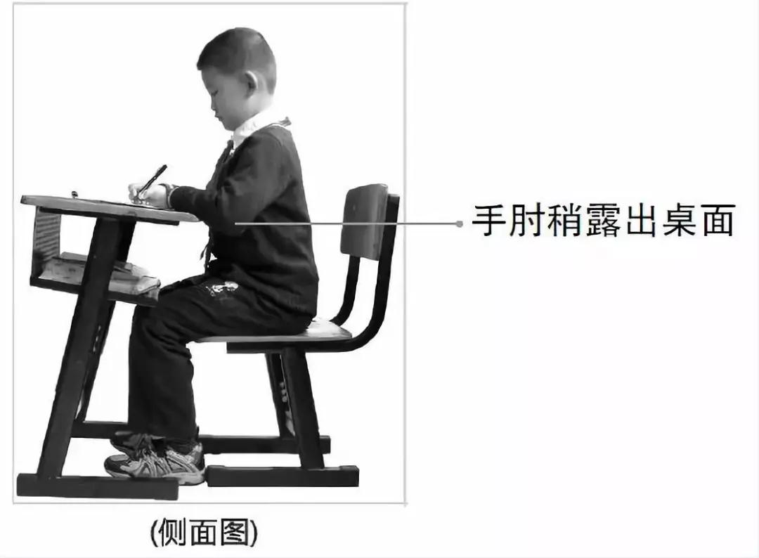 坐姿侧面图