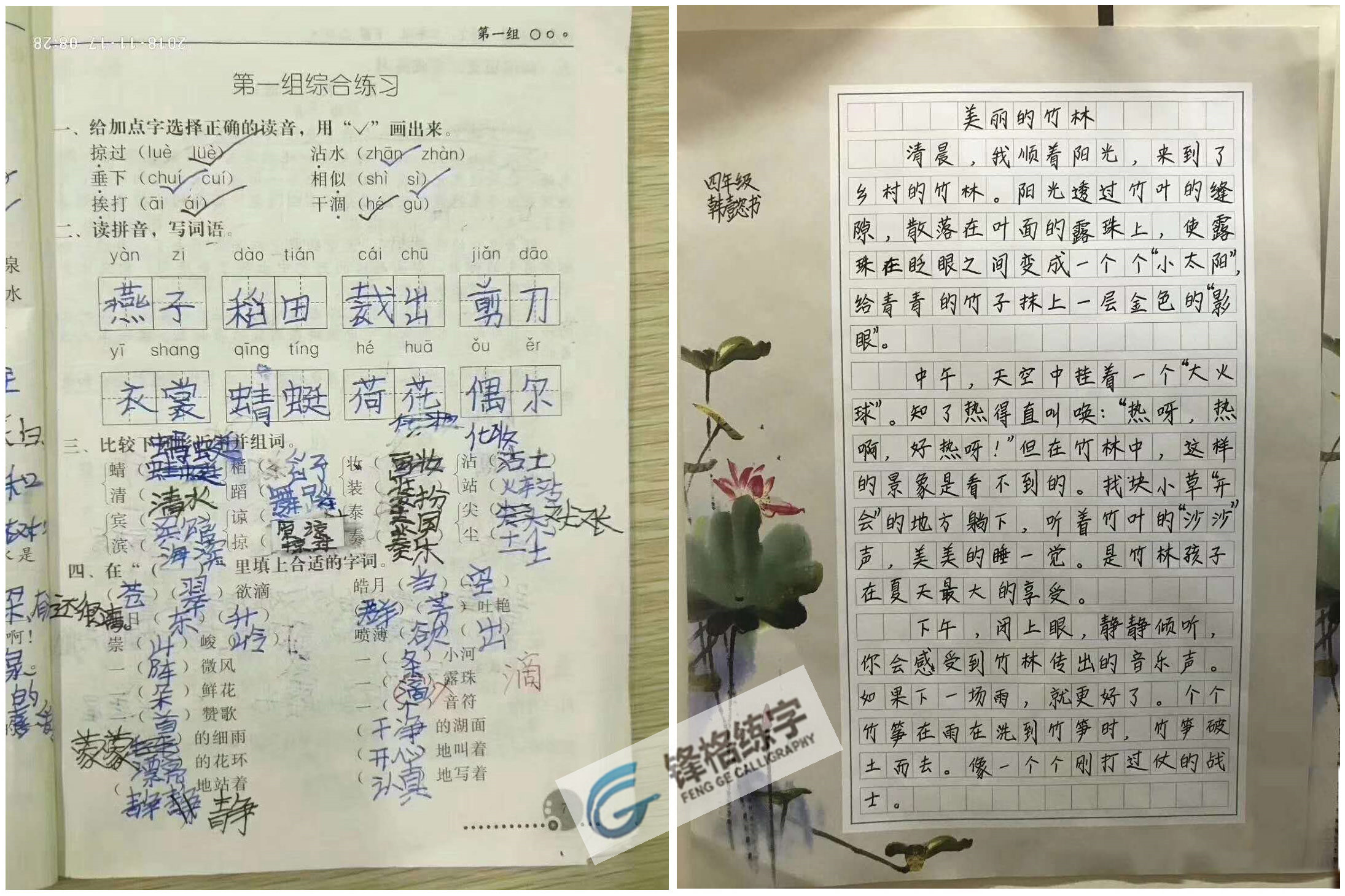锋格硬笔练字效果对比