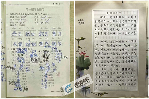 重庆锋格练字加盟分校学员硬笔字练前与练后效果对比
