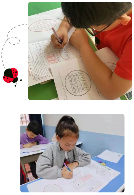 书法等级考试