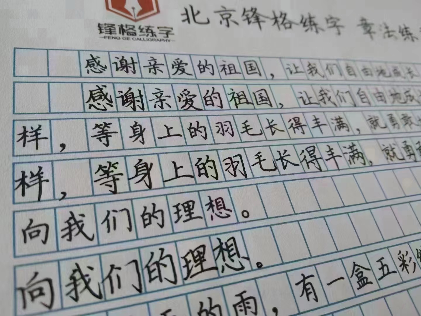 锋格练字班学员书写作品