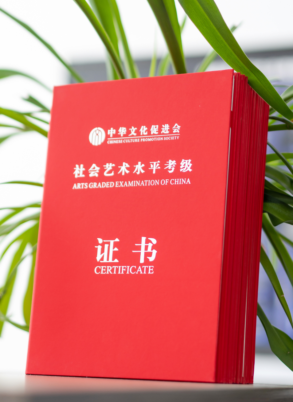 社会艺术水平考试证书